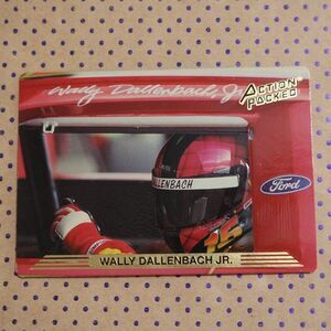Wally Dallenbach Jr. #170 Nascar Card